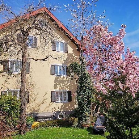 70Qm 3-Zimmer Apartment Am Tauernradweg In Hallein Bei Salzburg, Nahe Berchtesgaden, Rossfeld, Kehlsteinhaus, Obersalzberg, Watzmann, Schoenau Am Koenigsee, Bad Vigaun, Schloss Hellbrunn, Burg Hohen Salzburg, Burg Hohen Werfen # Beherbergungsbetrieb Exterior photo