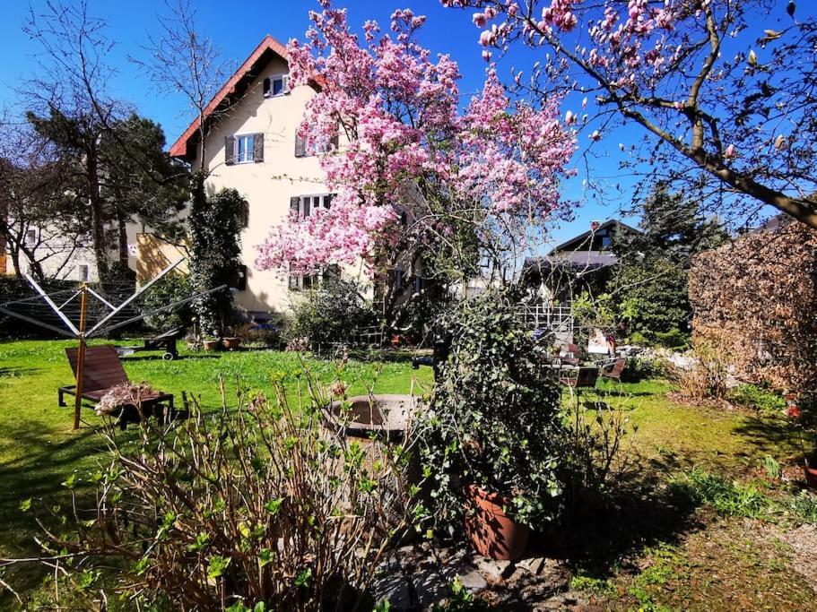 70Qm 3-Zimmer Apartment Am Tauernradweg In Hallein Bei Salzburg, Nahe Berchtesgaden, Rossfeld, Kehlsteinhaus, Obersalzberg, Watzmann, Schoenau Am Koenigsee, Bad Vigaun, Schloss Hellbrunn, Burg Hohen Salzburg, Burg Hohen Werfen # Beherbergungsbetrieb Exterior photo