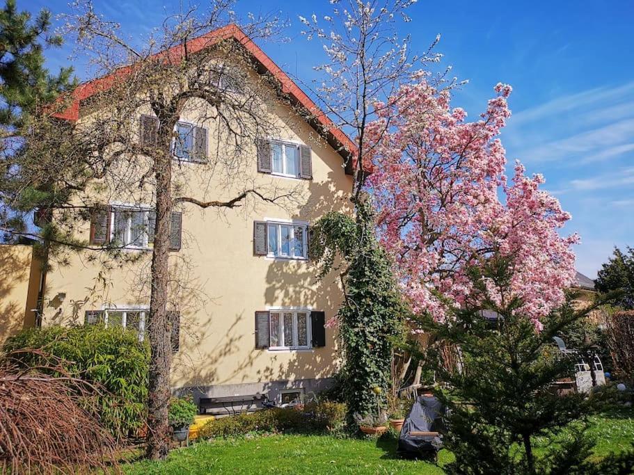 70Qm 3-Zimmer Apartment Am Tauernradweg In Hallein Bei Salzburg, Nahe Berchtesgaden, Rossfeld, Kehlsteinhaus, Obersalzberg, Watzmann, Schoenau Am Koenigsee, Bad Vigaun, Schloss Hellbrunn, Burg Hohen Salzburg, Burg Hohen Werfen # Beherbergungsbetrieb Exterior photo